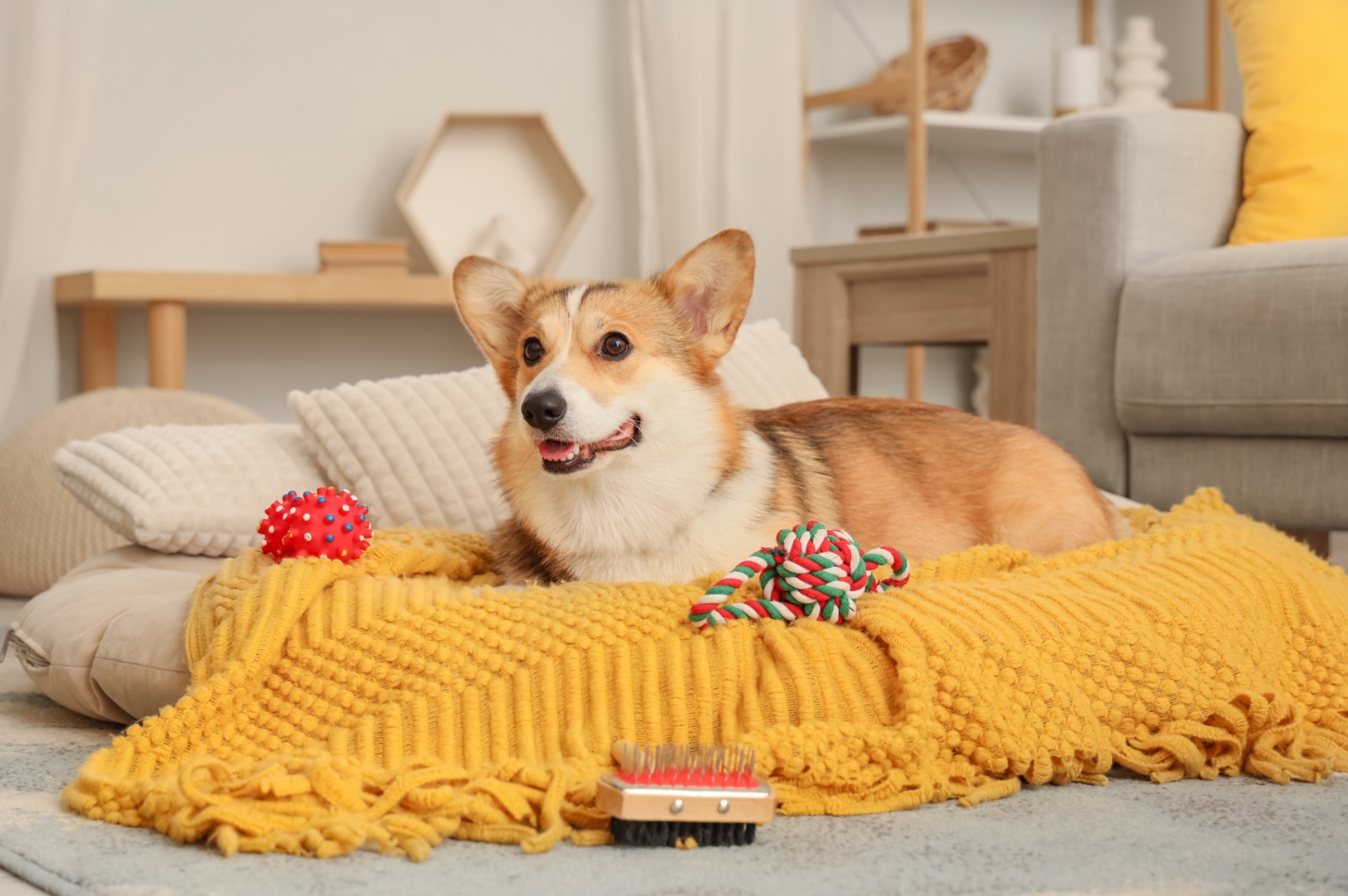 Articles pour le confort