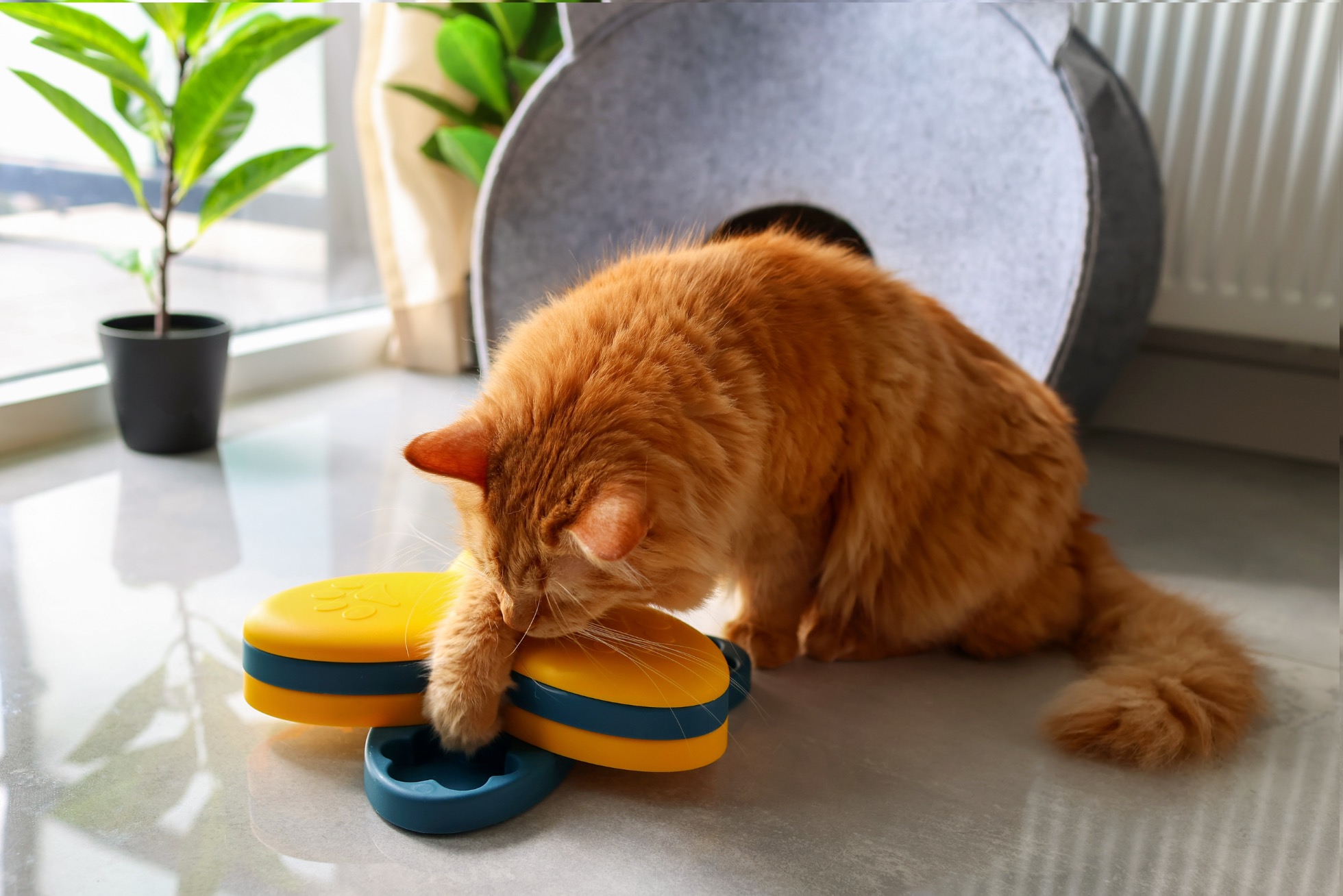 Jouets pour stimuler le corps