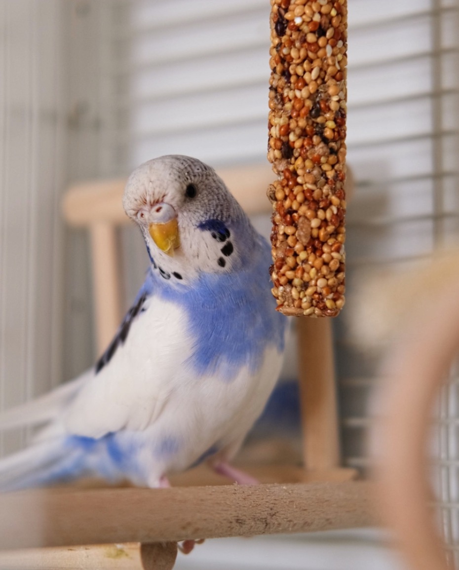 Petits plaisirs à offrir avec intention