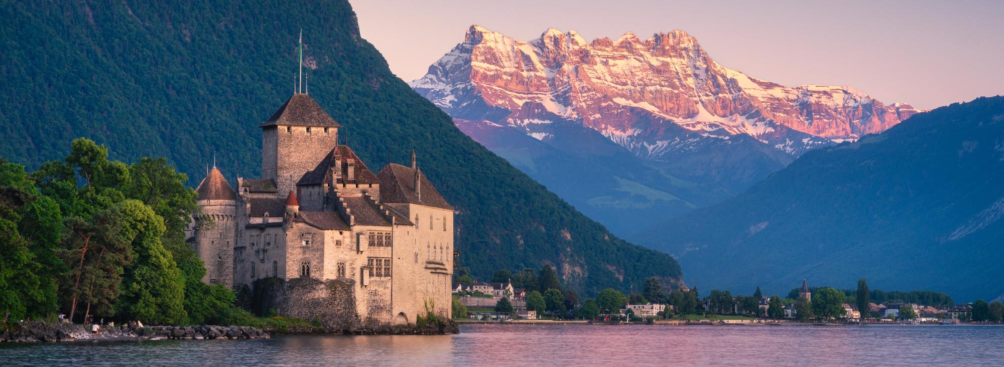 Vétérinaire à Domicile à Montreux