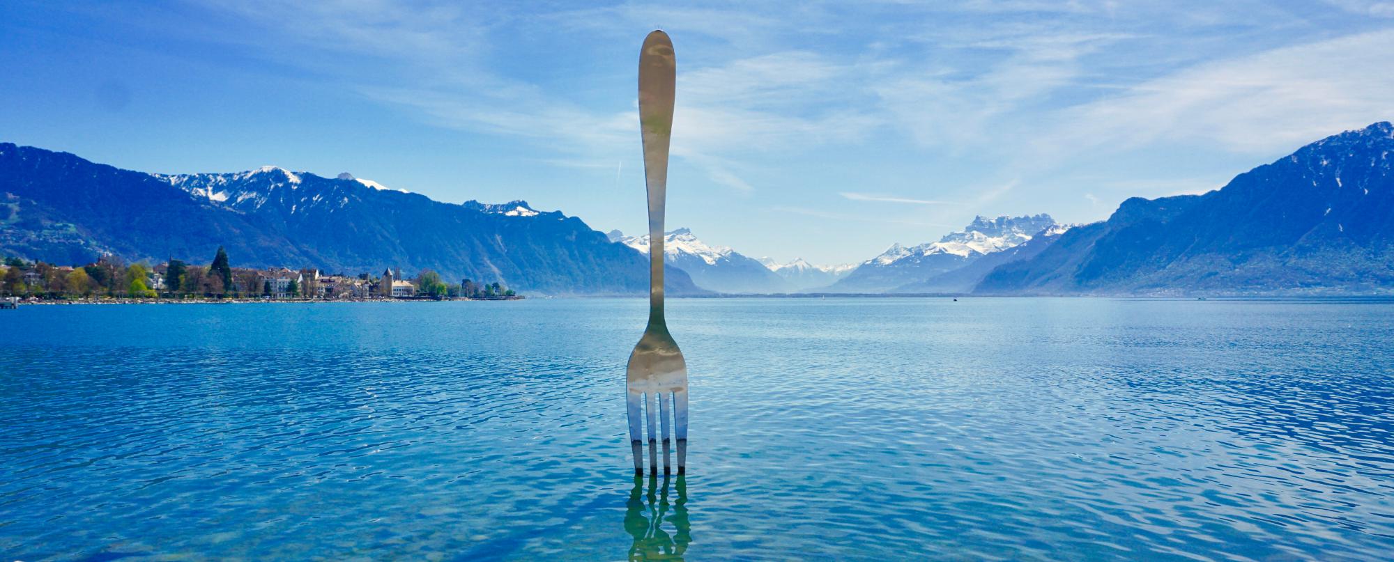 Vétérinaire à Domicile à Vevey
