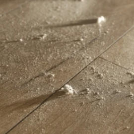 Acariens et poussières domestiques