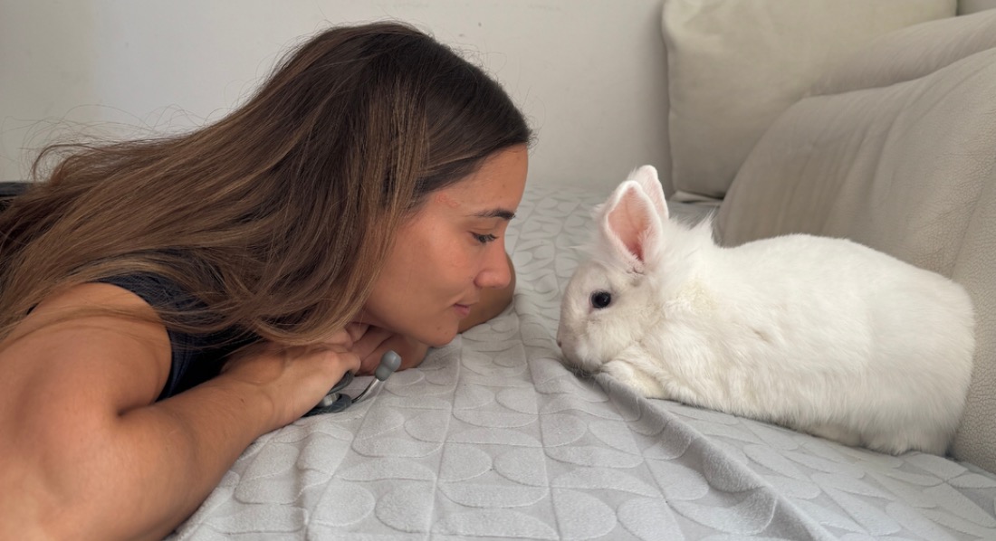 Soins pour NAC : lapins, rongeurs, furets, reptiles et oiseaux
