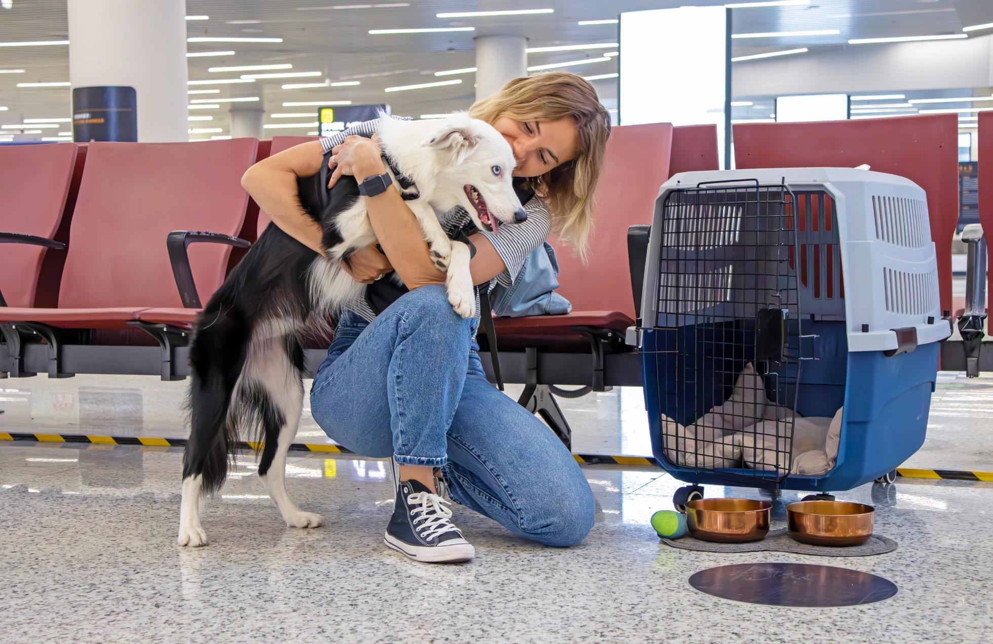 Documentation Animale