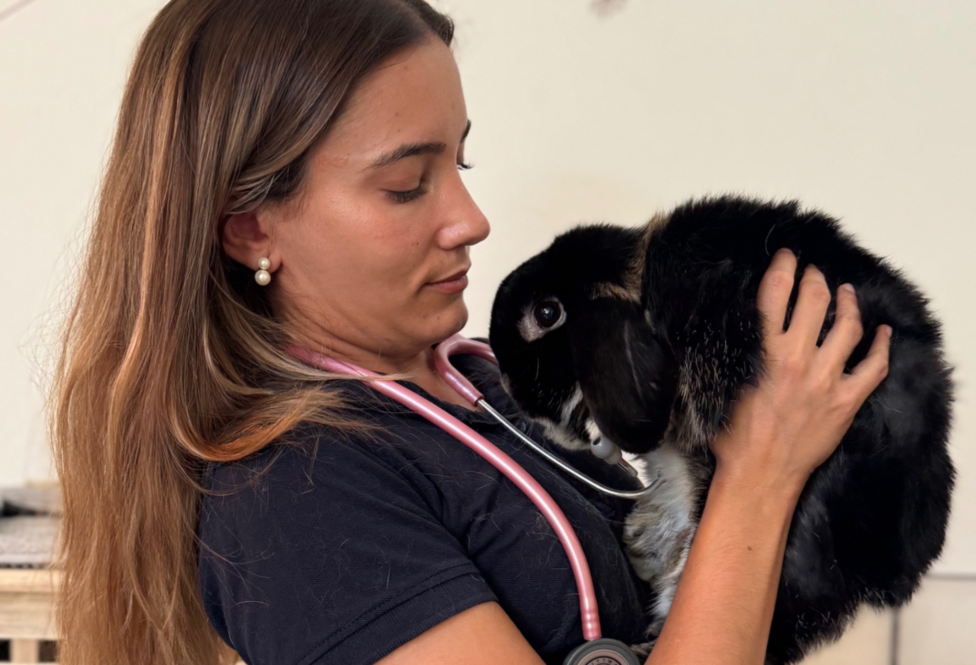 Vaccination NAC – Nouveaux Animaux de Compagnie