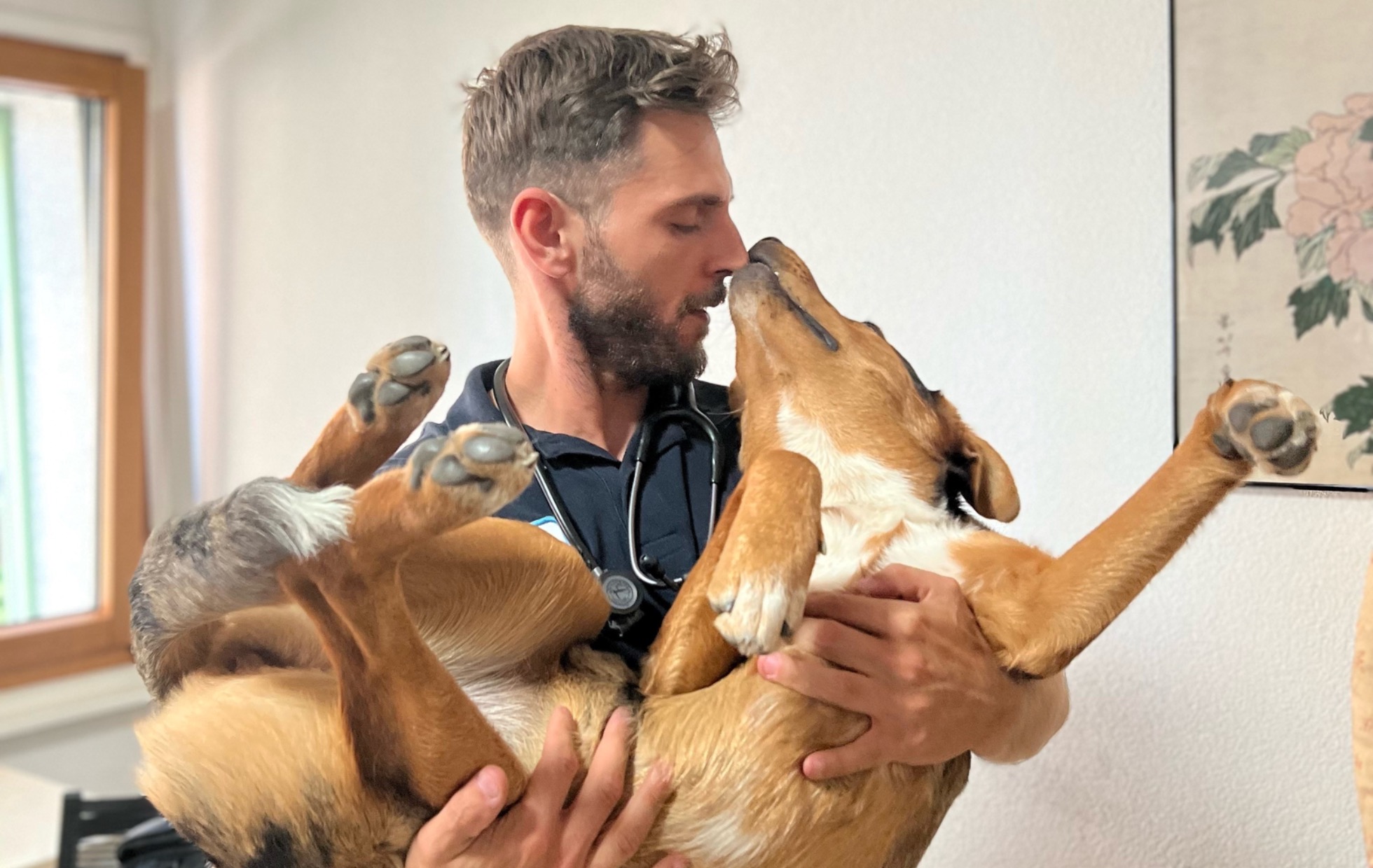 Vaccination pour Chiens