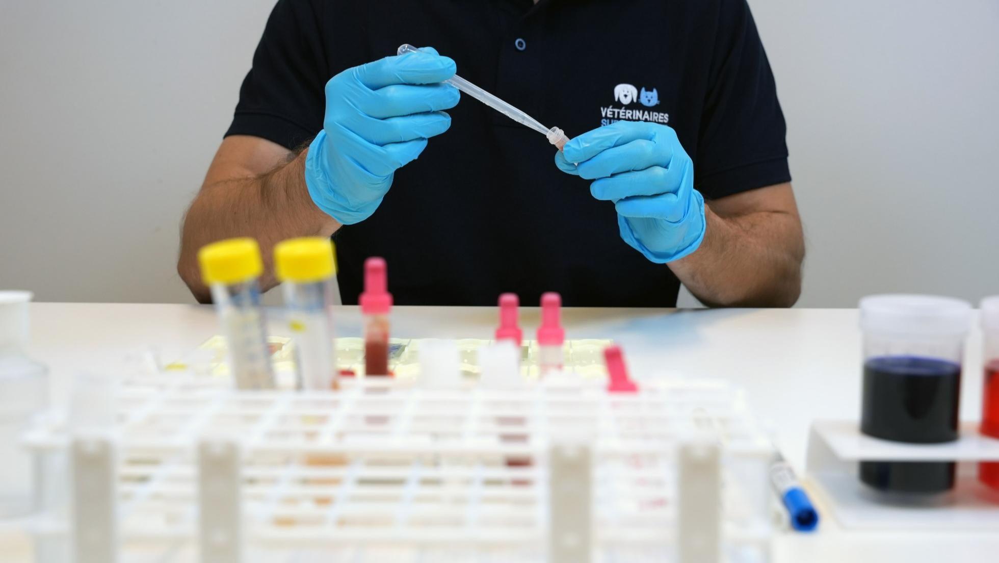 Analyses Vétérinaires | Vétérinaire à Domicile